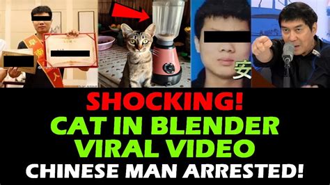 who put a cat into a blender|Sicko who put cat in blender, killed man after lover。